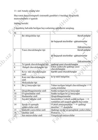11-sinf amaliy mashg‘ulot — DOCX