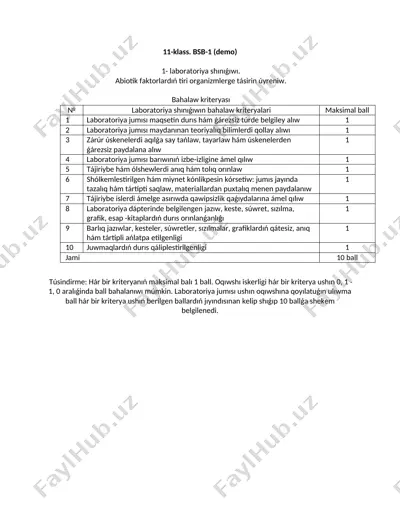 11-klass. bsb-1 (demo) — DOCX