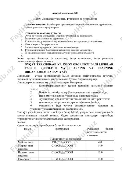 lipidlar tuzilishi, funksiyasi va metabolizmi — DOCX