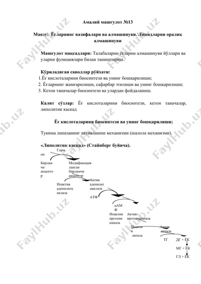 амалий машғулот №13 — DOCX