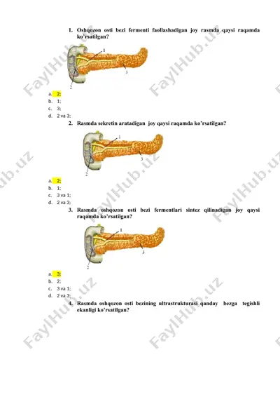 oshqozon osti bezining ultrastrukturasi — DOCX
