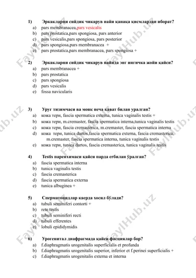 erkaklarni siydik chikaruv nayida anatomiya — DOCX
