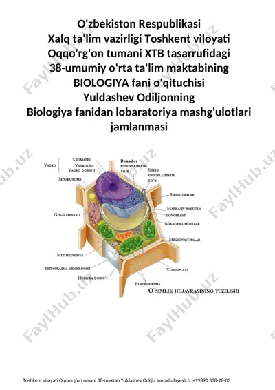 gulli o'simliklar organlari bilan tanishish mashg'ulotlari — DOCX