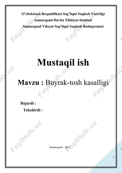 buyrak-tosh kasalligi haqida ma'lumotlar — DOCX