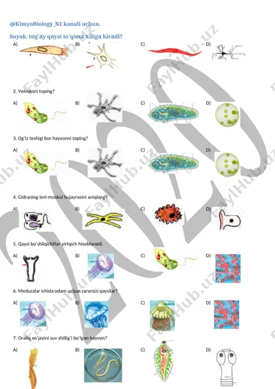 kimyo va biologiya masalalaridan test savollari — DOCX