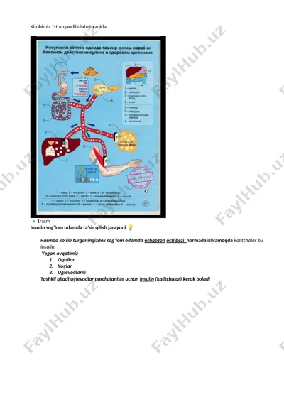 qandli diabet 1-tur — DOCX