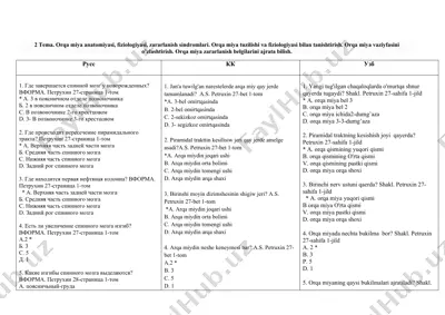 orqa miya anatomiyasi, fiziologiyasi, zararlanish sindromlari — DOCX