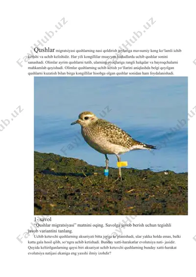 qushlar migratsiyasi — DOCX
