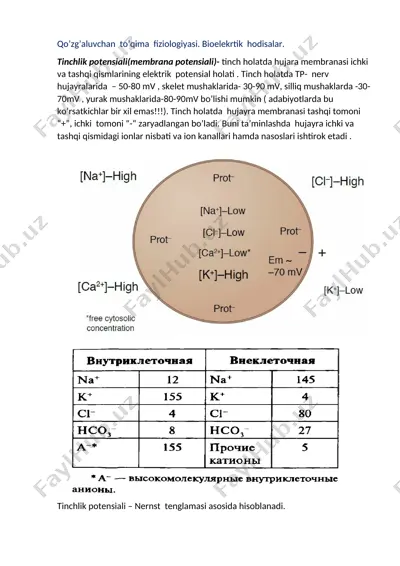 qo'zg'aluvchan to'qima fiziologiyasi. bioelektrik hodisalar — DOCX