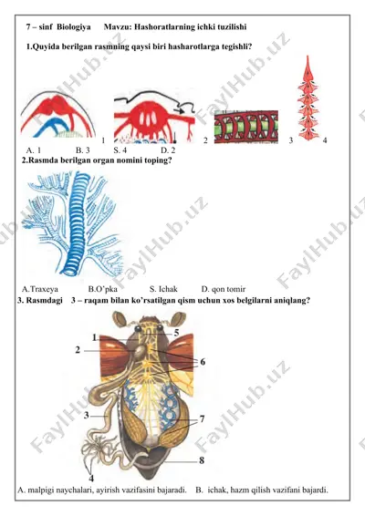 biologiya sinf test savollar to'plami — DOCX
