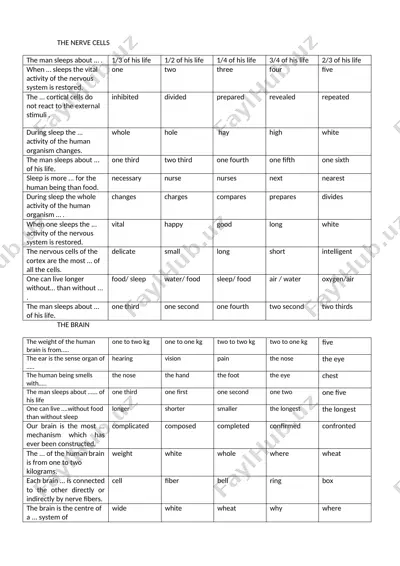 nerve cells, brain, physiology of the lungs, exchange of gases in the lungs — DOCX