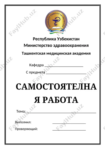 samostoyatelnaya rabota — DOCX