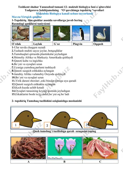 "o`quvchimga topshiriq savollari - yirtqich qushlar" — DOCX