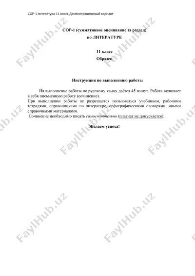 sor-1 (суммативное оценивание за раздел) — DOCX