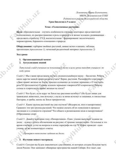 urok biologiyasi (golosemennye rasteniya) — DOCX