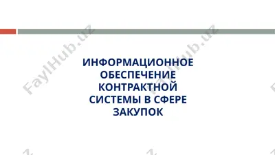 информационное обеспечение контрактной системы в сфере закупок — PPTX