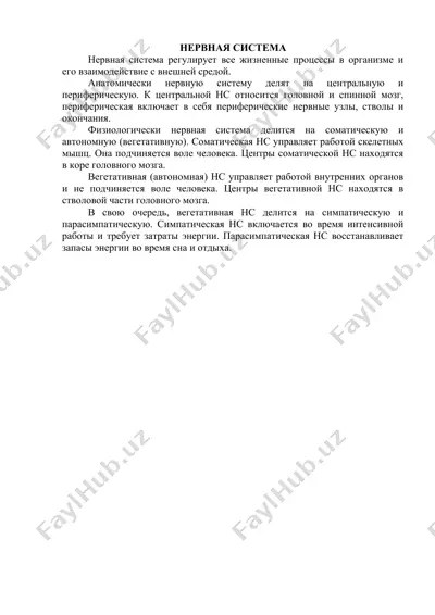 нервная система — DOCX