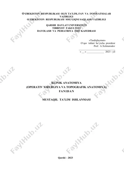 mustaqil ta’lim ishlanmasi - klinik anatomiya (operativ xirurgiya va topografik anatomiya) fanidan — DOCX