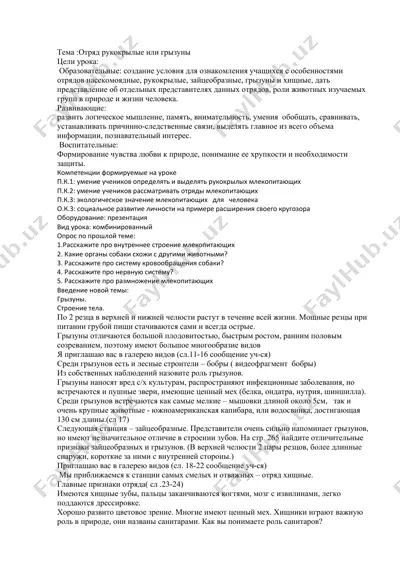 отряд рукокрылые или грызуны — DOCX
