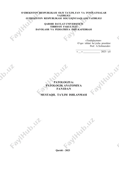 mustaqil ta’lim ishlanmasi — DOCX