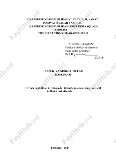 modul tizimi — DOCX