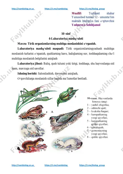 biologiya fanining labaratoriya mashg'uloti "tirik organizmlarning muhitga moslanishini o‘rganish" — PDF