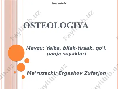 osteologiya — PDF