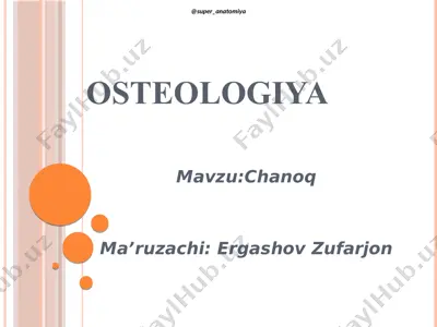 osteologiya — PDF