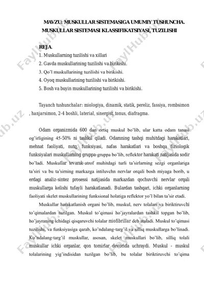 muskullar sistemasi tuzilishi va klassifikatsiyasi — PDF