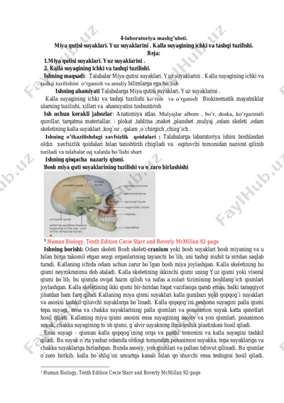 "miya qutisi suyaklari. yuz suyaklarini. kalla suyagining ichki va tashqi tuzilishi" — PDF