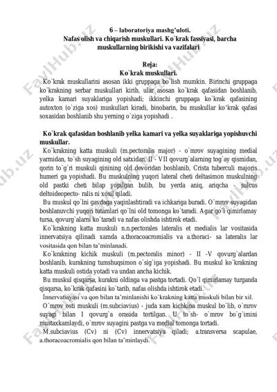 nafas olish va chiqarish muskullari — PDF