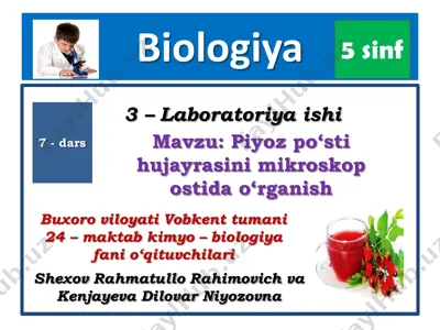 piyoz po‘sti hujayrasining tuzilishini mikroskopda o'rganish — PDF