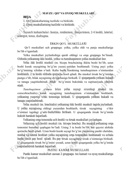 qo’ va oyoq muskullari — PDF