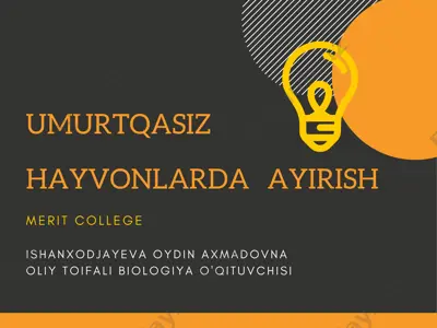 ayirish jarayoni haqida ma'lumotlar — PDF