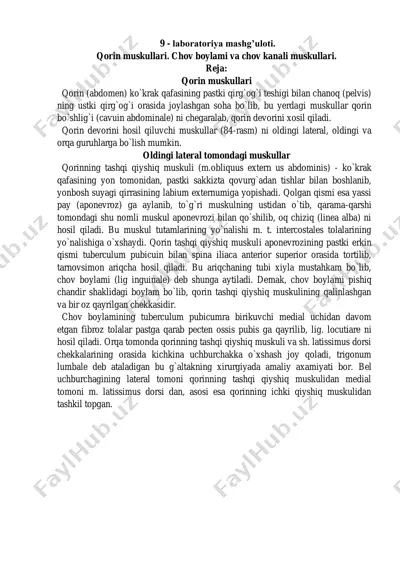 qorin muskullari — PDF