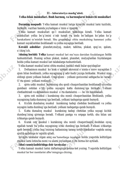 yelka kamari musklari laboratoriya mashg'uloti — PDF