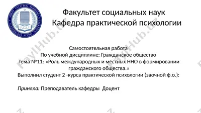роль международных и местных нно в формировании гражданского общества — PPTX
