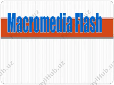 macromedia flash — PPTX