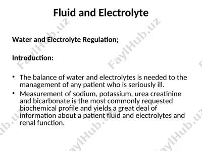 fluid and electrolyte — PPT