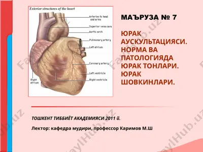 yurak auskultatsiyasi. norma va patologiyada yurak tonlari. yurak shovkinlari. — PPT