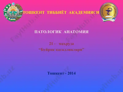 "буйрак касалликлари" — PPT