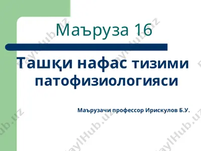 ташқи нафас тизими патофизиологияси — PPT
