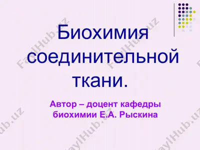 биохимия соединительной ткани — PPT