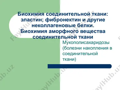 биохимия соединительной ткани: эластин; фибронектин и другие неколлагеновые белки — PPT