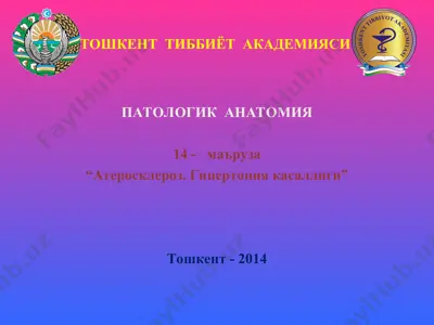 ateroskleroz. gipertoniyakasalligi — PPT