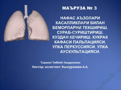 naftas a'zolari kasalliklari bilan bemorlarni tekshirish — PPT
