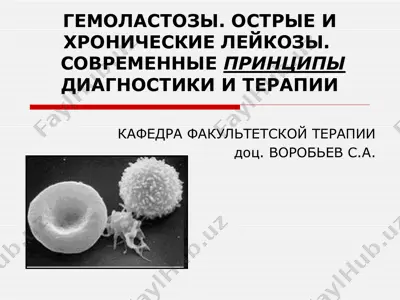 гемоластозы. острые и хронические лейкозы. современные принципы диагностики и терапии — PPTX
