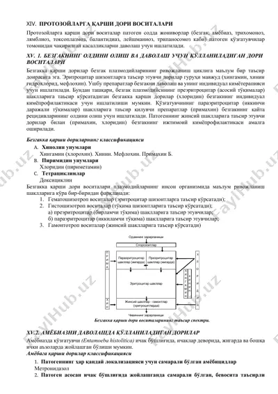 протозойларга қарши дори воситалари — DOCX