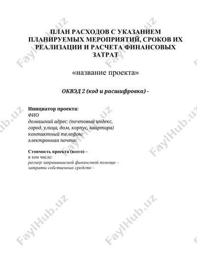 план расходов с указанием планируемых мероприятий, сроков их реализации и расчета финансовых затрат — DOCX