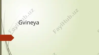 gvineya — PPTX